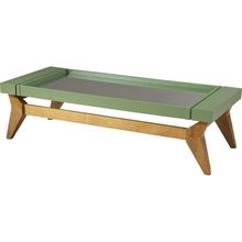 mesa-de-centro-retangular-com-espelho-em-madeira-crystal-verde-musgo-55x130cm-a-EC000028161