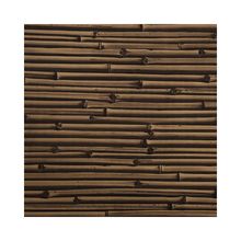 papel-de-parede-verde-bambu-200-x-45cm-EC000023447_1